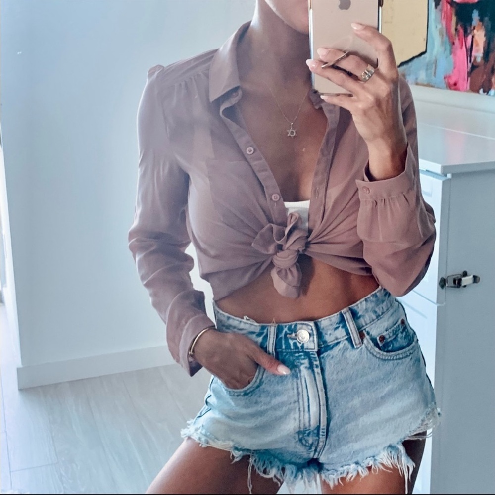 Frenchi Beautiful Mauve Chiffon Sheer Button Down Shirt XS